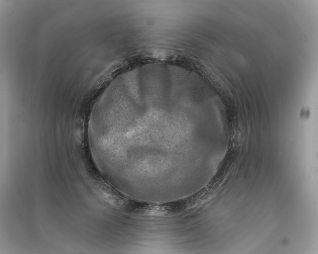 X0000090930656200708131455