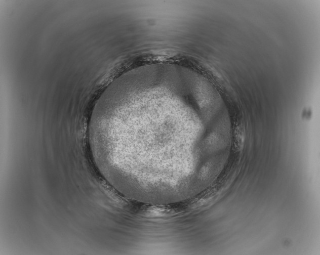 X0000090930657200708131455