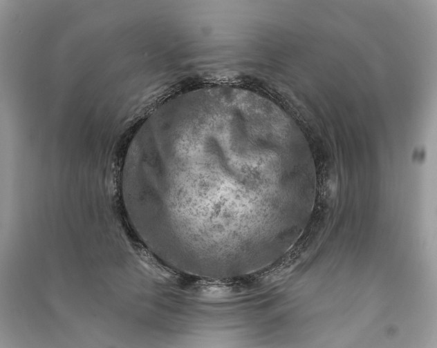 X0000090930658200708131455