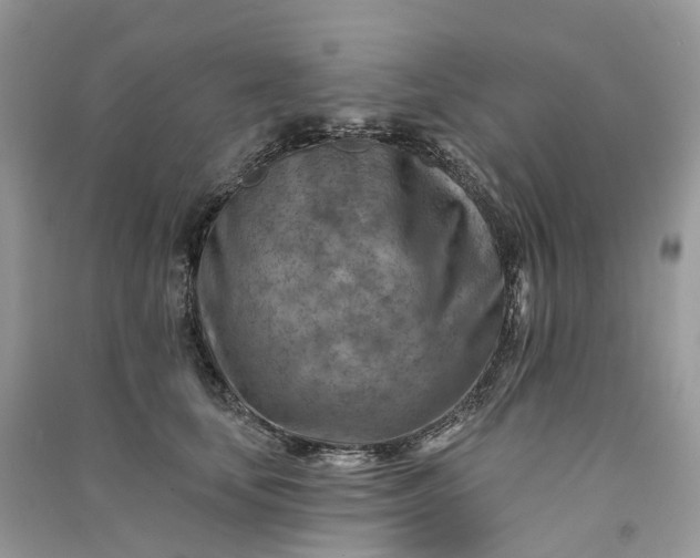 X0000090930659200708131455