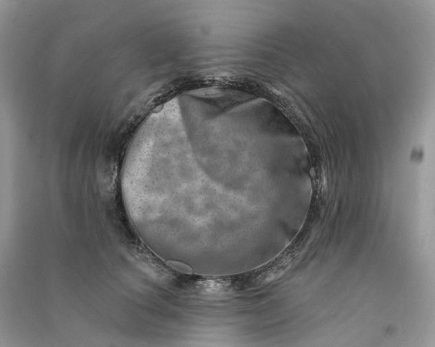 X0000090930660200708131455