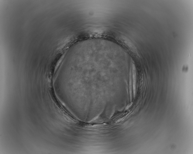 X0000090930661200708131455