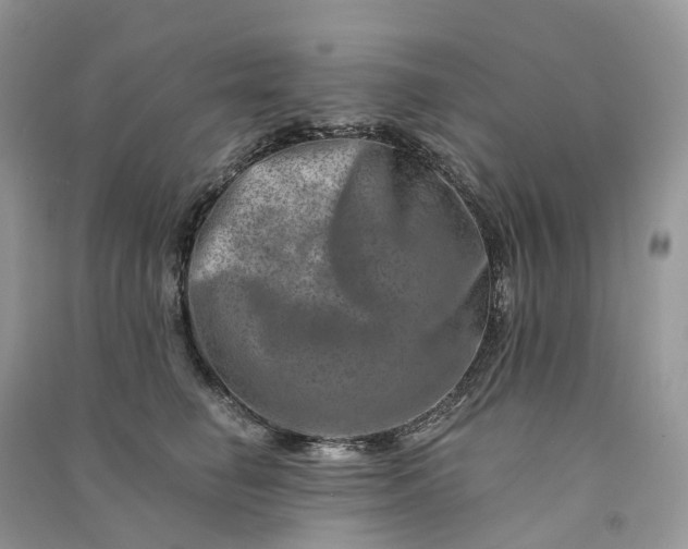 X0000090930662200708131455