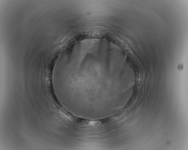 X0000090930663200708131455