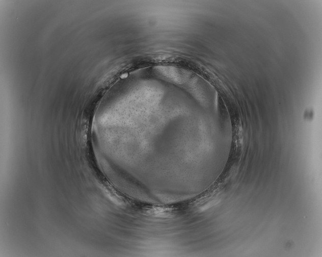 X0000090930664200708131455