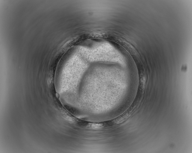 X0000090930665200708131455