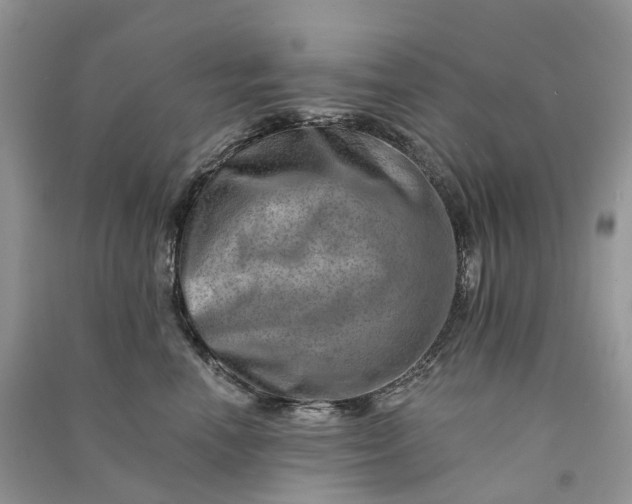 X0000090930666200708131455