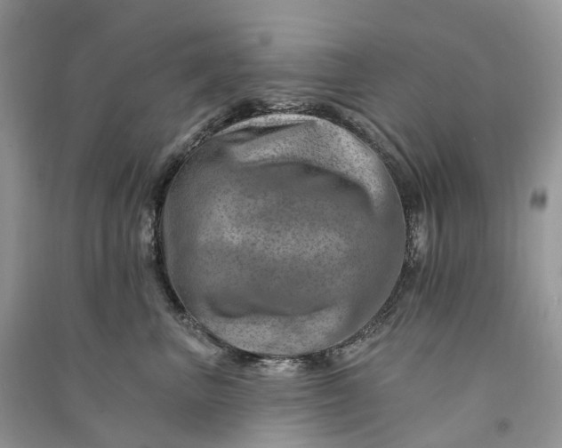 X0000090930667200708131455