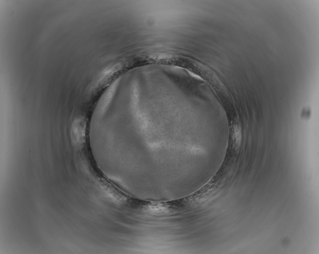 X0000090930668200708131455