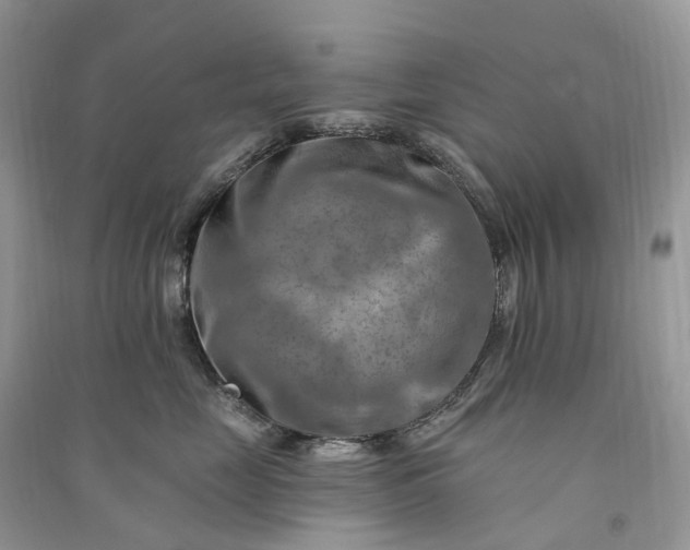 X0000090930669200708131455