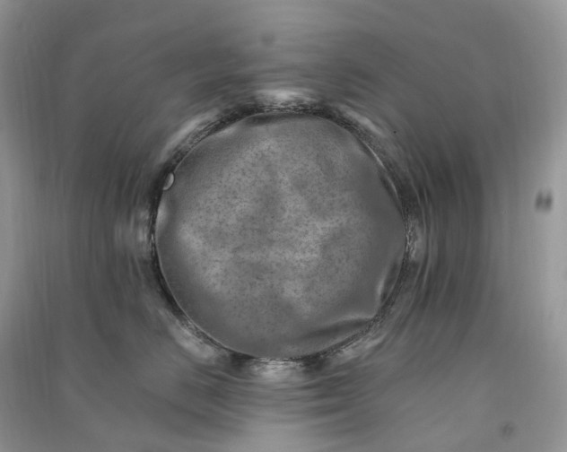 X0000090930670200708131455