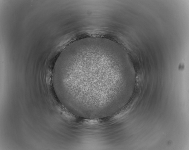 X0000090930671200708131455