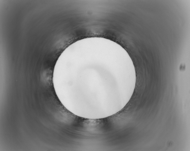 X0000090930672200708131455