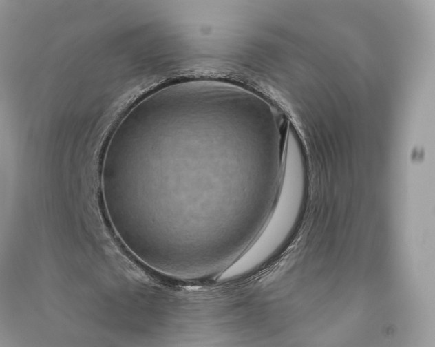 X0000090930673200708131454