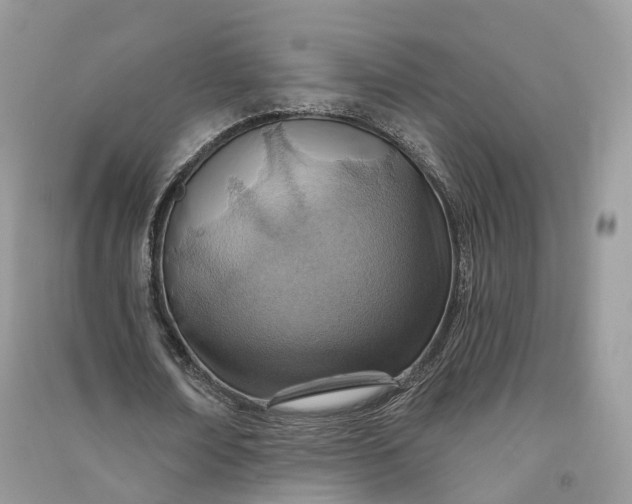 X0000090930674200708131454