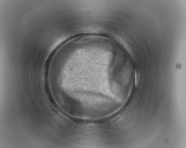 X0000090930675200708131454