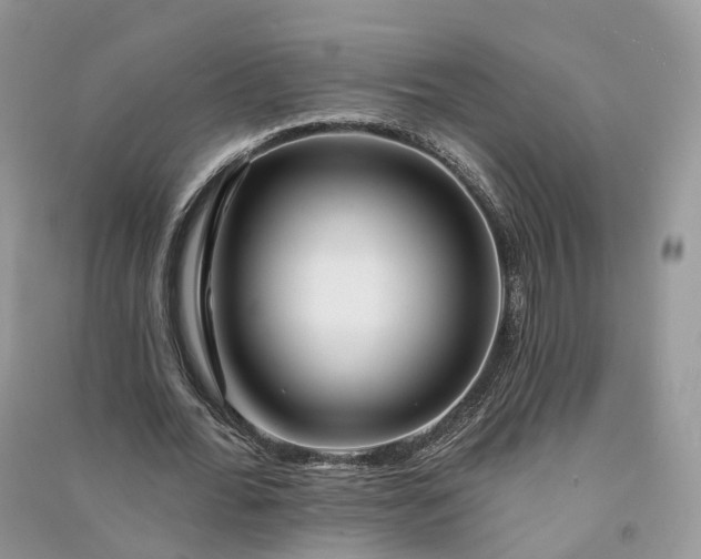 X0000090930676200708131454