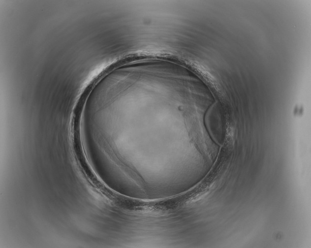 X0000090930678200708131454