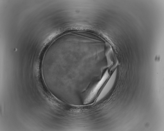 X0000090930679200708131454