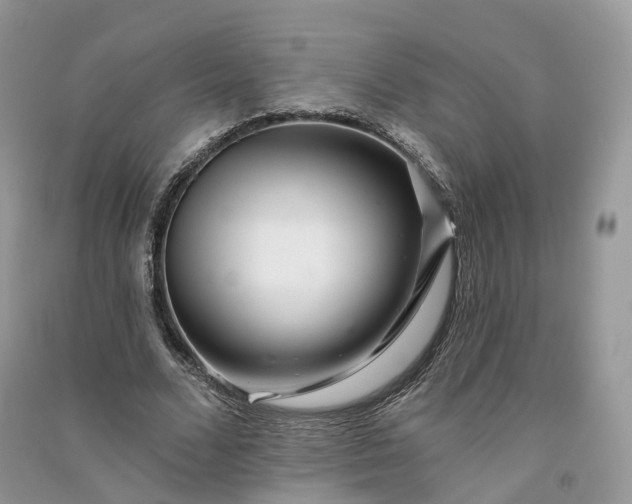 X0000090930680200708131454