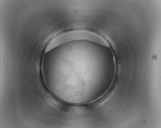 X0000090930681200708131454