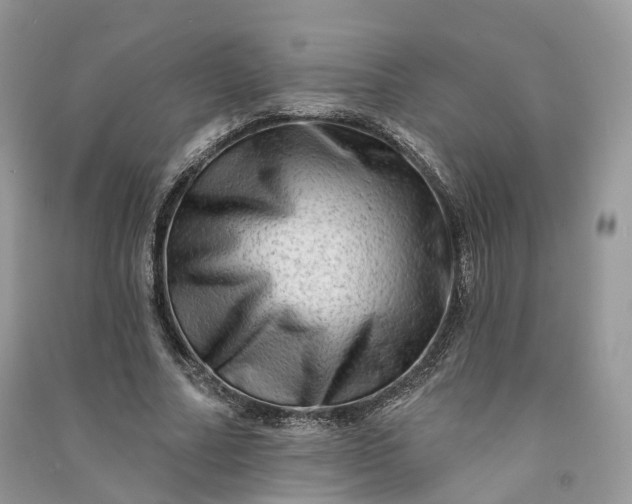 X0000090930682200708131454