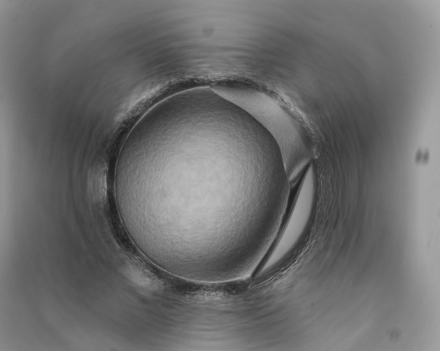 X0000090930685200708131454