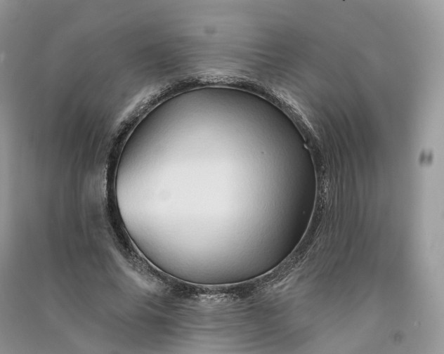 X0000090930686200708131454