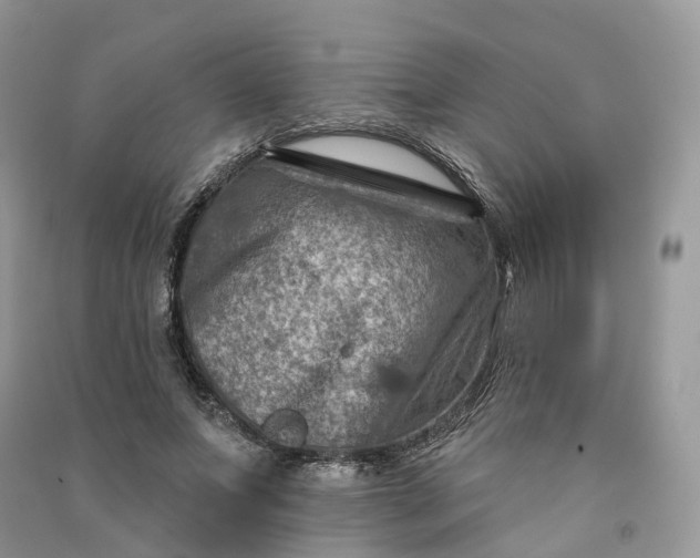 X0000090930687200708131454