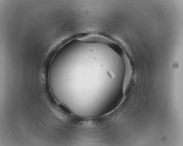 X0000090930688200708131454