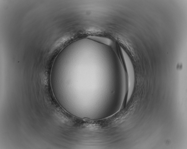 X0000090930689200708131454