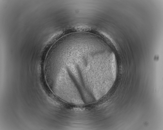 X0000090930690200708131454