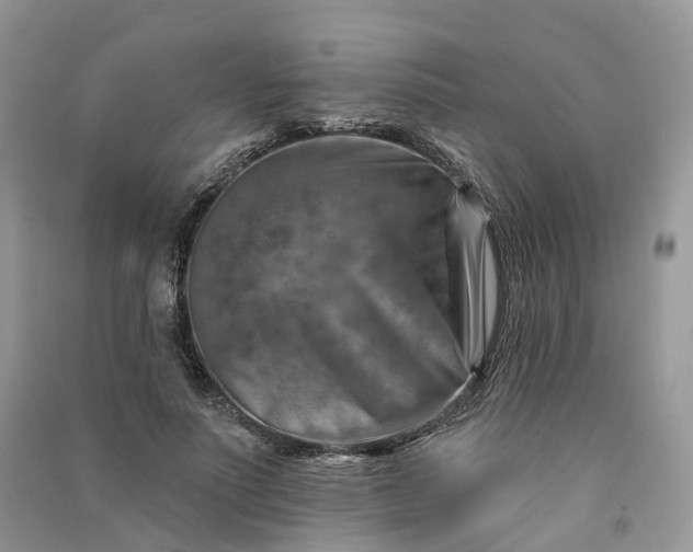 X0000090930691200708131454