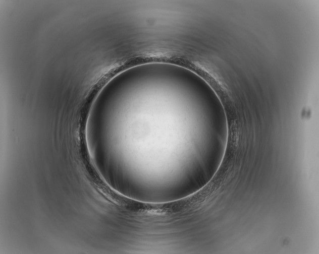 X0000090930692200708131454