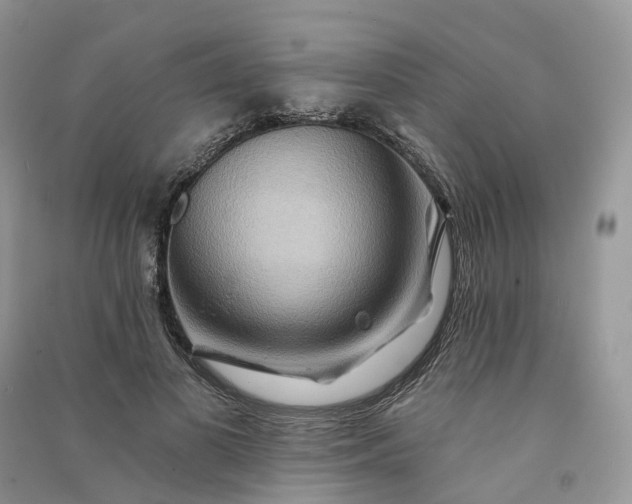 X0000090930693200708131454