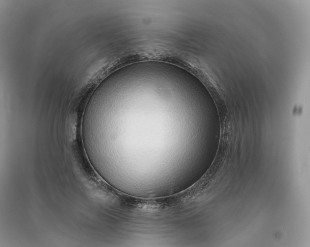 X0000090930694200708131454