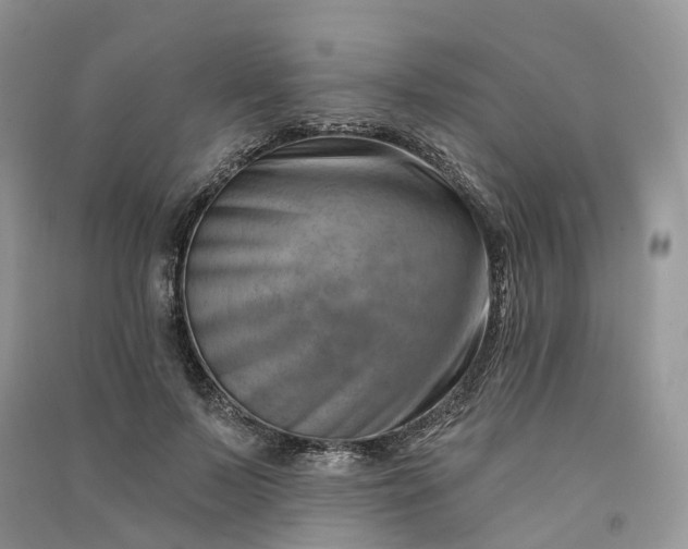 X0000090930695200708131454