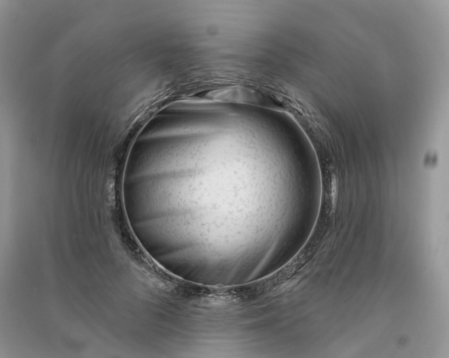 X0000090930696200708131454