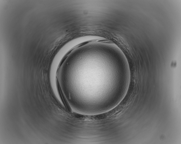 X0000090930697200708131454