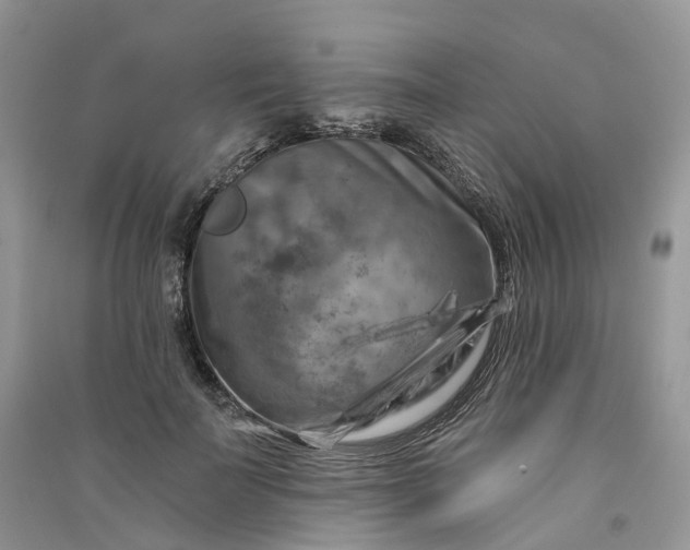 X0000090930699200708131454