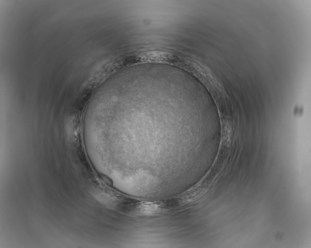 X0000090930701200708131454