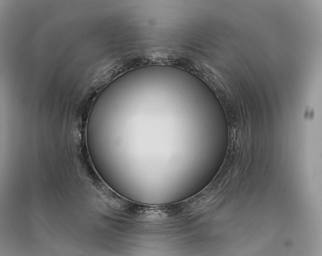 X0000090930702200708131454