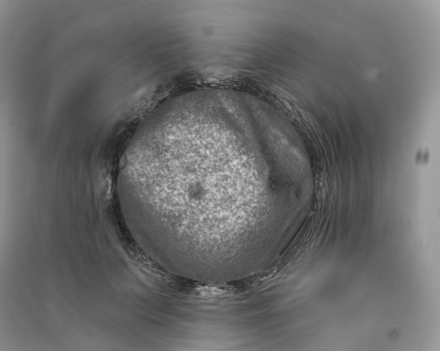 X0000090930703200708131454