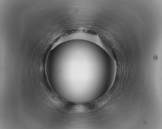 X0000090930704200708131454