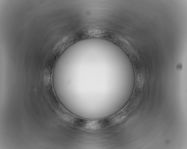 X0000090930705200708131454