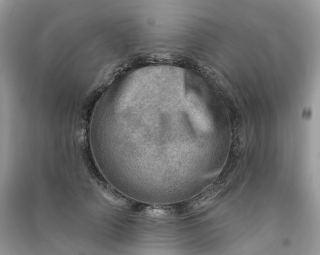 X0000090930706200708131454