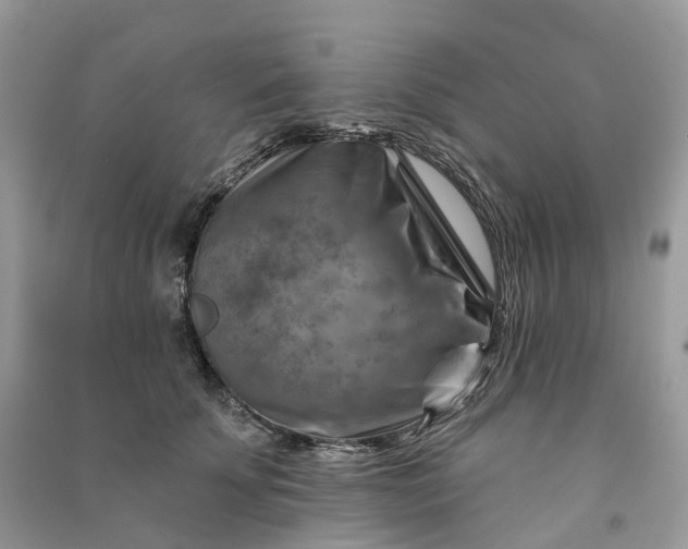 X0000090930707200708131454