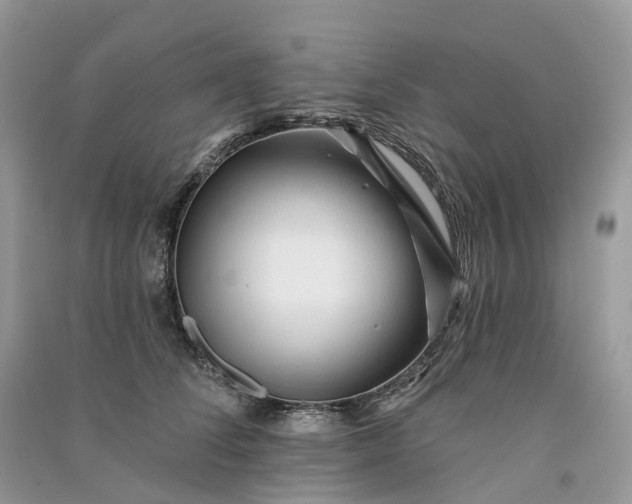 X0000090930708200708131454