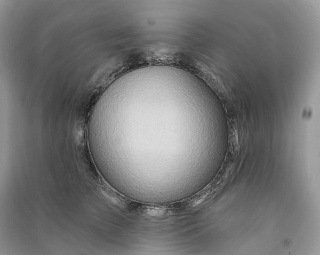 X0000090930709200708131454