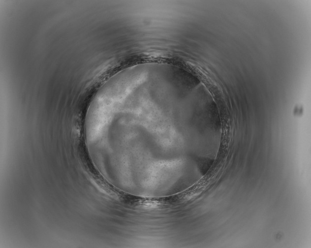 X0000090930710200708131454